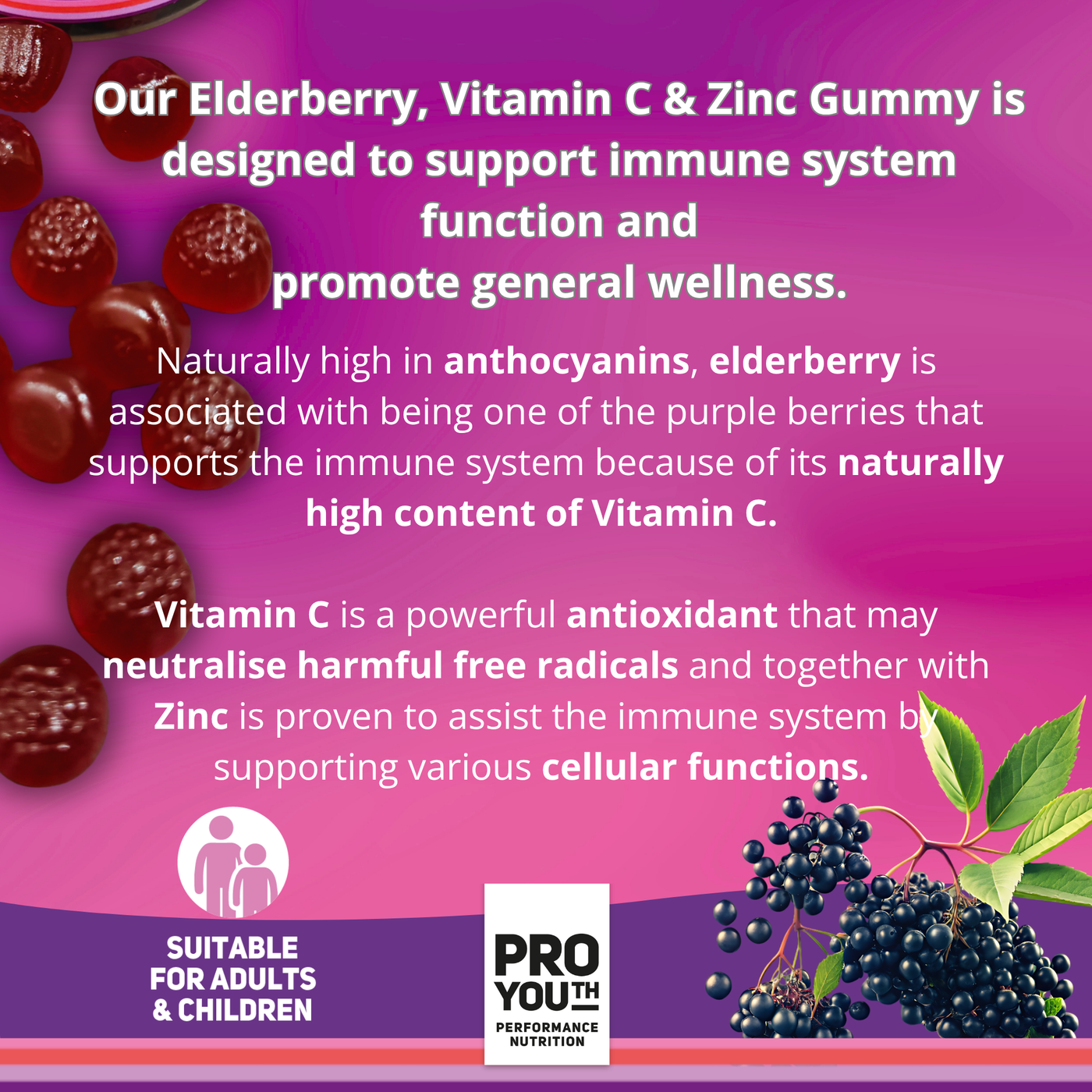 Elderberry, Vitamin C & Zinc Gummy